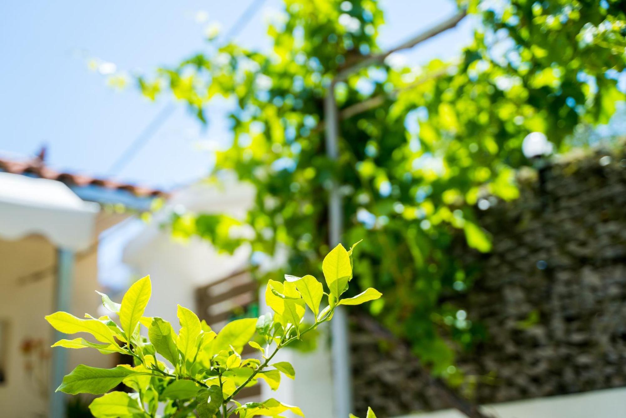 The Dreamhouse Athens Airport Apartment Artemida  Luaran gambar